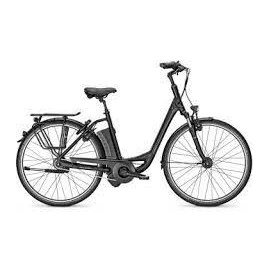 Vélo à assistance électrique RALEIGH DOVER 8HS 26" Femme en destockage chez MELAIN Motoculture