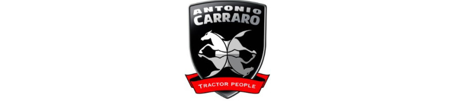 ANTONIO CARRARO chez MELAIN MOTOCULTURE